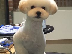 -Oh My Dog宠物沙龙(伊珊娜皮毛护理店)