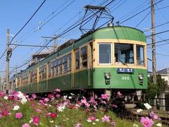 -灌篮高手动画打卡地