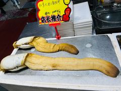 象拔蚌-蚝专家(北滘店)