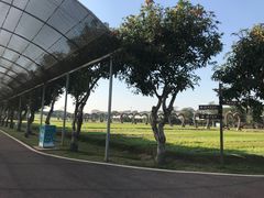 -迪茵湖田家舍生态农场