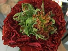 -Butchart布查德鲜花(花艺设计中心)