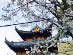 -龙华寺