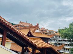 -深圳仙湖植物园
