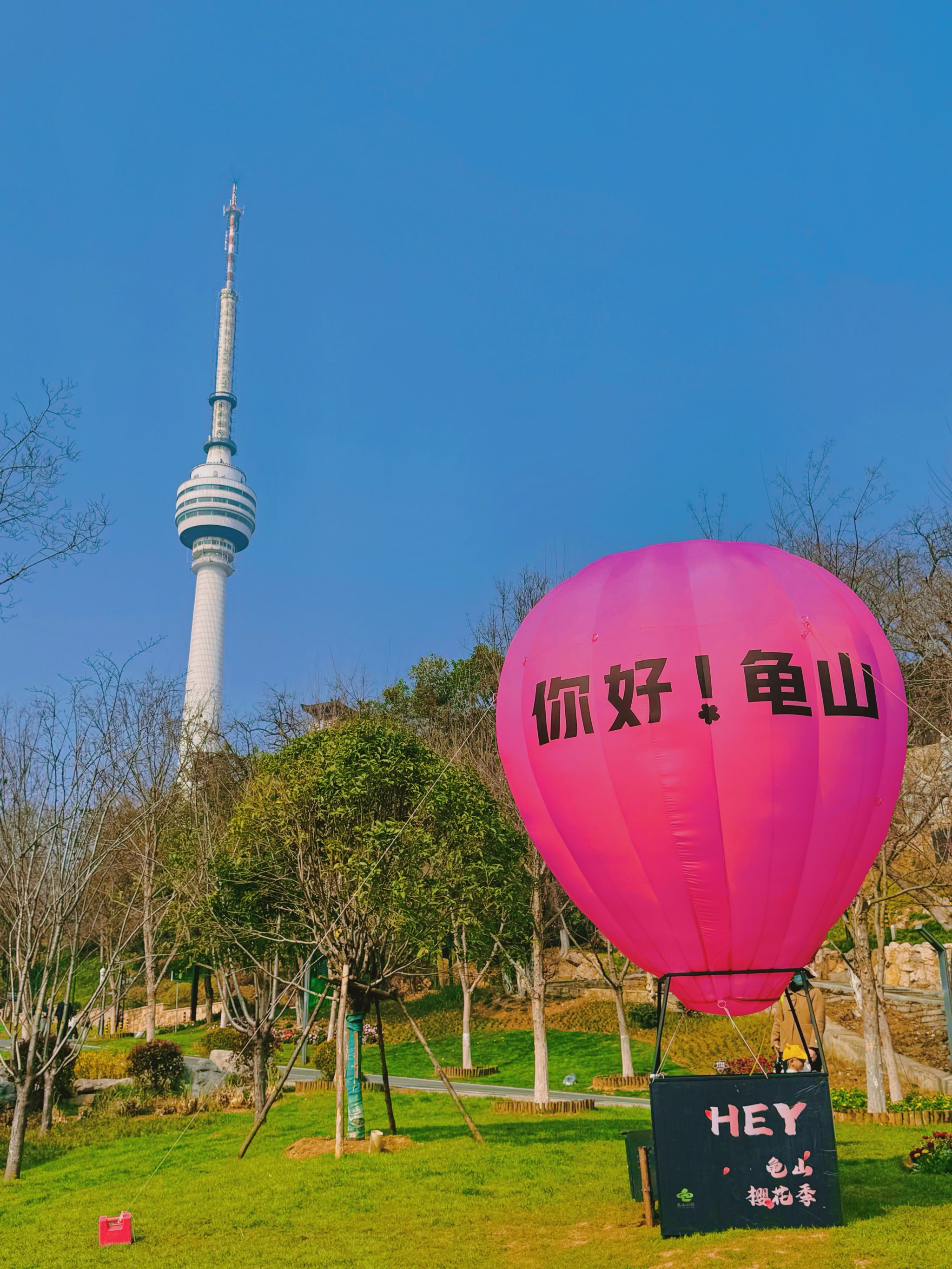 来武汉龟山公园赴一场樱花之约