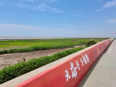 -南汇嘴观海公园