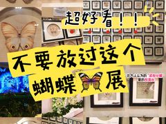 -深圳龙华星河COCO City(民治店)