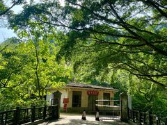 -广州市石门国家森林公园