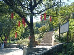 -婺源月亮湾