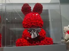 -ROSEONLY诺誓(国际广场购物中心店)