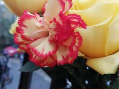 -春暖花开(西溪店)