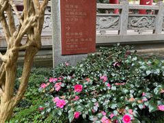 -都江堰普照寺