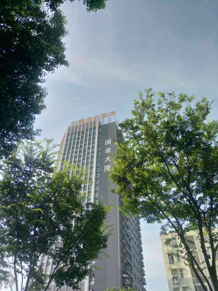 国金大厦-办公楼-"酒店跟办公室一起的,互相影响,整栋楼大部.