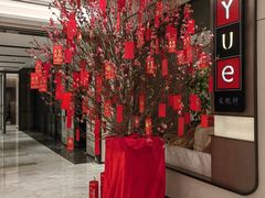 -上海宝华喜来登酒店·采悦轩中餐厅