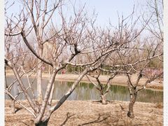 -东郊湿地公园
