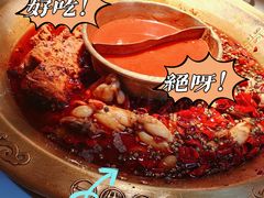 -新哥老官·畅吃123·美蛙世界(苏宁广场店)