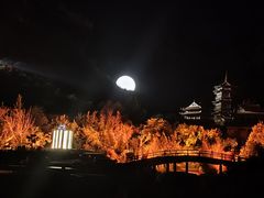 -禅宗少林·音乐大典
