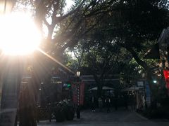-黄祥华养生堂·炖汤·营养蒸饭(岭南天地店)