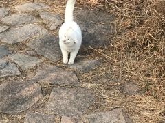 -北京凤凰岭