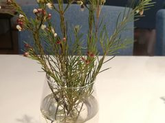 -伊斯坦布尔土耳其清真咖啡餐厅