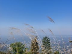-蜀南竹海景区