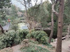 -叶家花园
