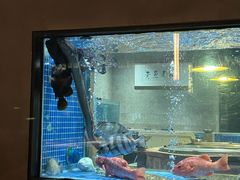 -新荣记(西溪湿地店)