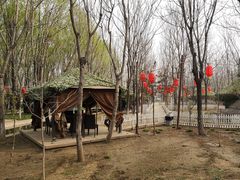 -草根堂农场