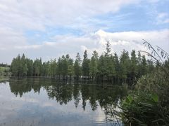 -白鹭湾湿地公园