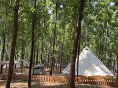 -森林小栈TreeStation露营基地