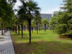 -同济大学(嘉定校区)