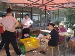 -庞各庄翠芳园西瓜蔬菜基地采摘园