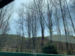 -终南山国家森林公园