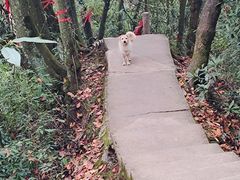 -青城山
