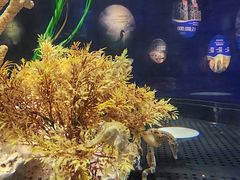 -香港海洋公园
