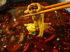 -鸿顺老铁锅美蛙鱼府(解放碑店)