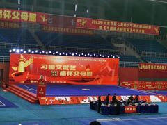 -武术世家少儿培训中心(首都体育学院店)