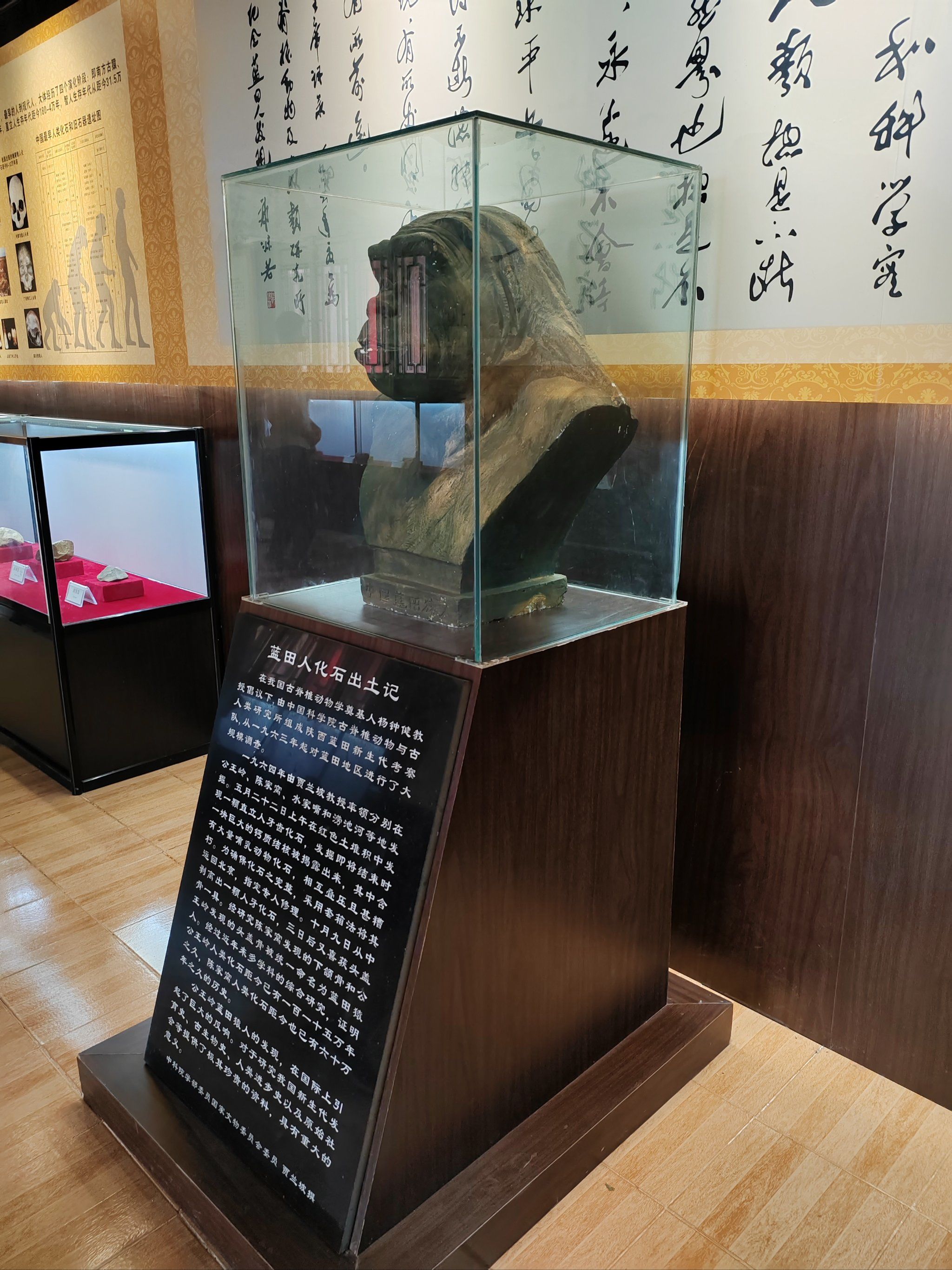 蓝田猿人遗址