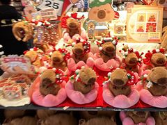 -酷乐潮玩(金桥国际店)