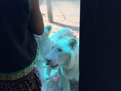 -泉州海丝野生动物世界