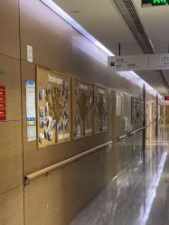 -上海首尔丽格医疗美容医院