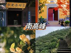 -十里琅珰