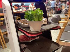 -季季红火锅(长沙步行街店)