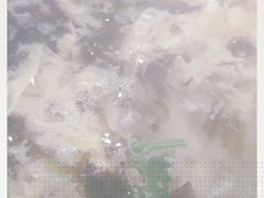 -东北小板凳地摊烧烤(泰来街店)