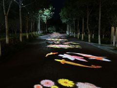 -水上乐园·欢乐世界