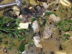 -史记安仁鱼头(浙闽赣食用菌交易中心店)