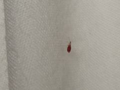 -乐嗨公寓(苏州火车站店)