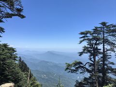 -瓦屋山景区