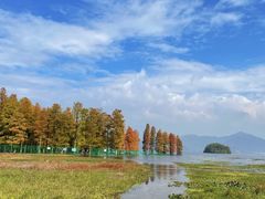-四明湖