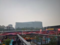 -中国人民解放军总医院(301医院)
