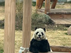 -无锡动物园·太湖欢乐园